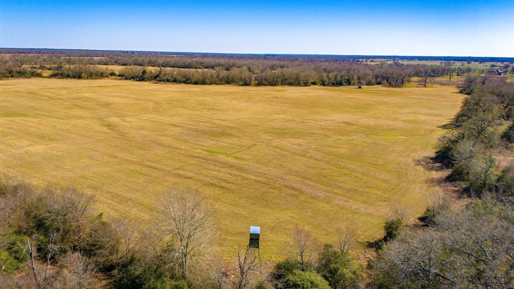 3333 Malone Road, Midway, Texas image 26