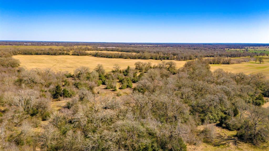 3333 Malone Road, Midway, Texas image 22