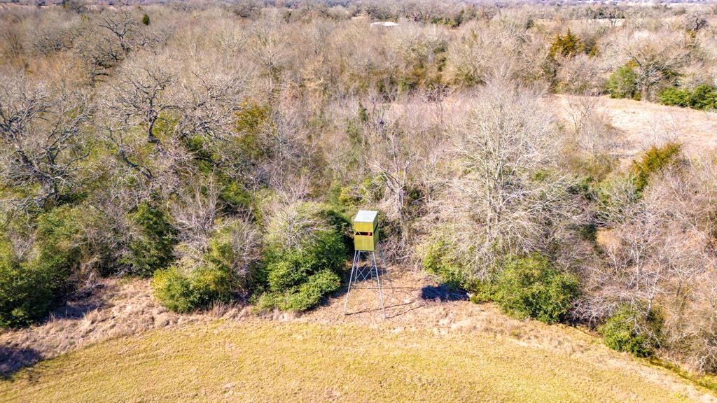 3333 Malone Road, Midway, Texas image 3