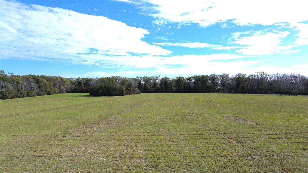 TBD Reese Road / Louisville Road, Groveton, Texas image 8