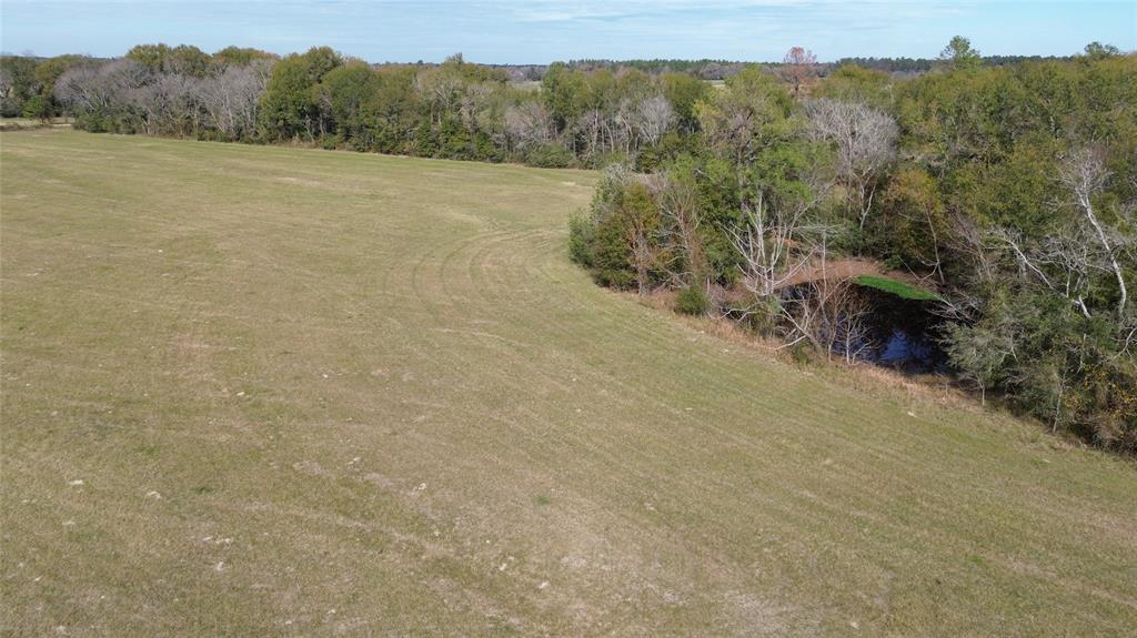 TBD Reese Road / Louisville Road, Groveton, Texas image 17