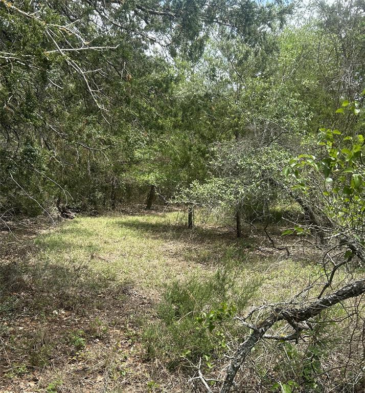 1501 County Road 233, Giddings, Texas image 1