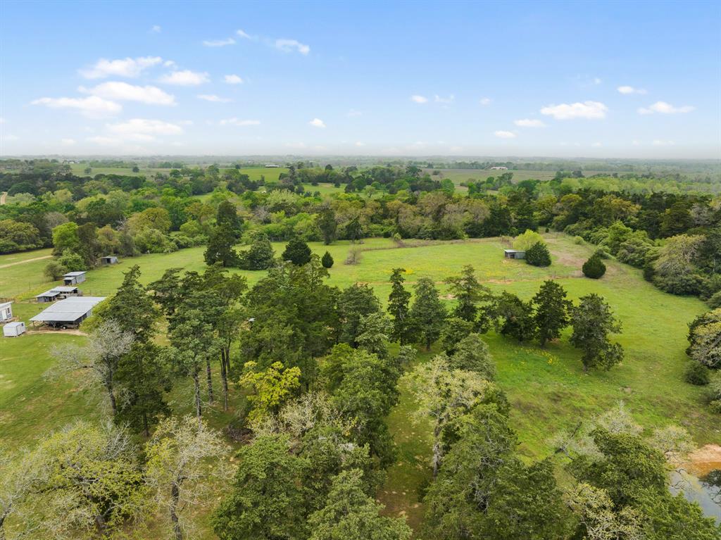 24661 Squirrel Road, New Ulm, Texas image 11