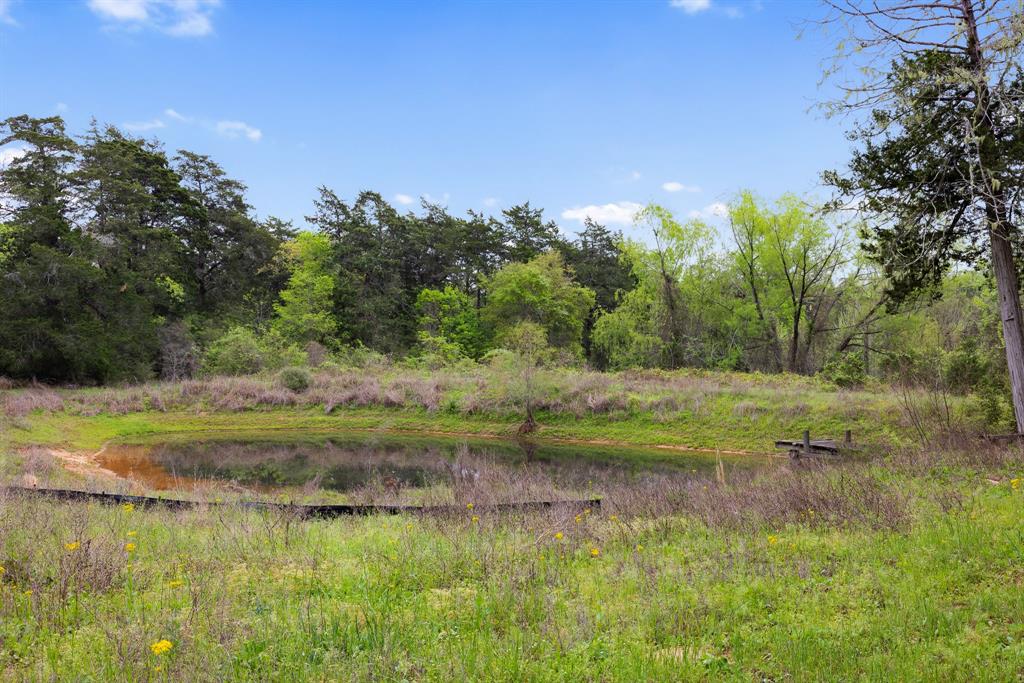 24661 Squirrel Road, New Ulm, Texas image 33