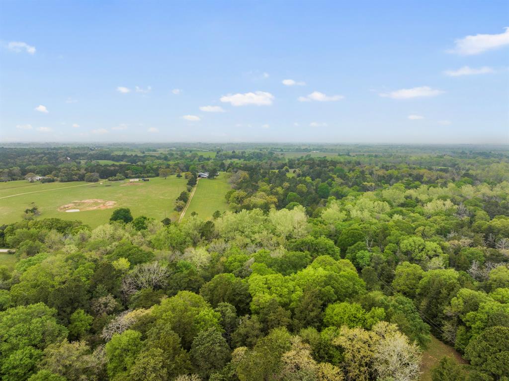 24661 Squirrel Road, New Ulm, Texas image 4