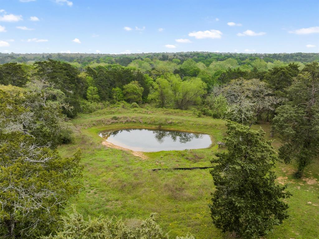 24661 Squirrel Road, New Ulm, Texas image 1