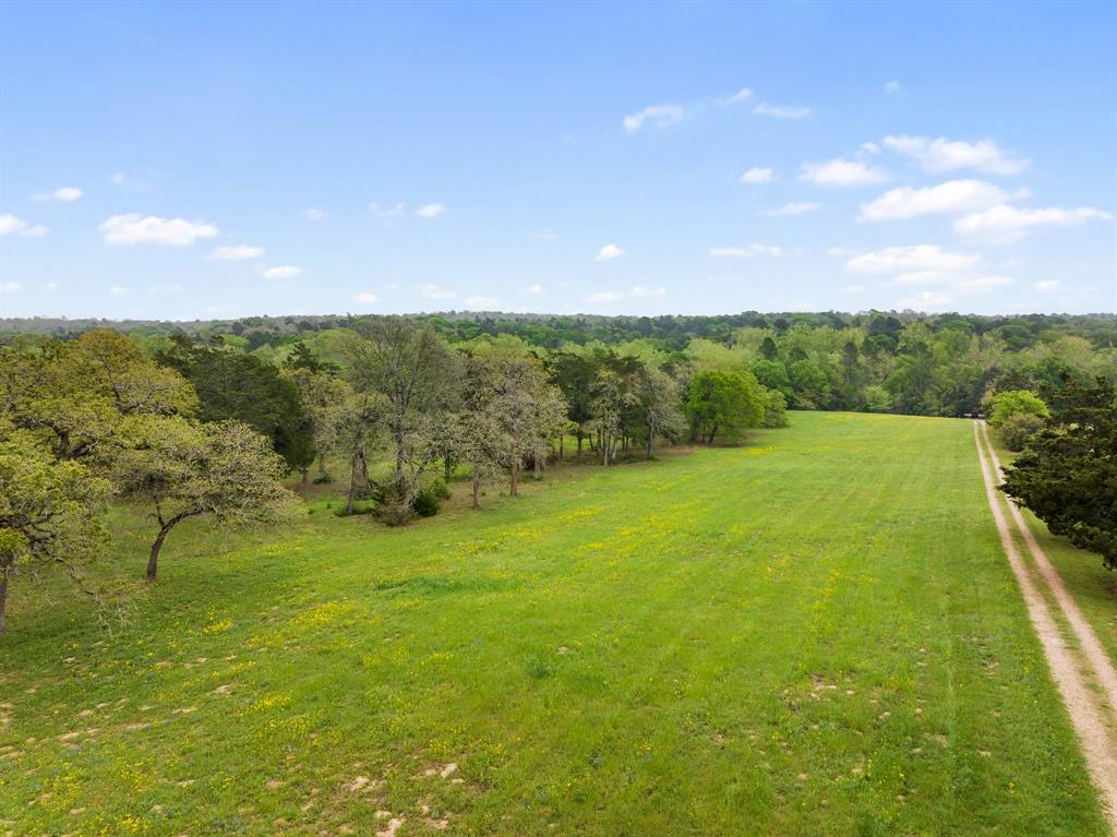 24661 Squirrel Road, New Ulm, Texas image 2