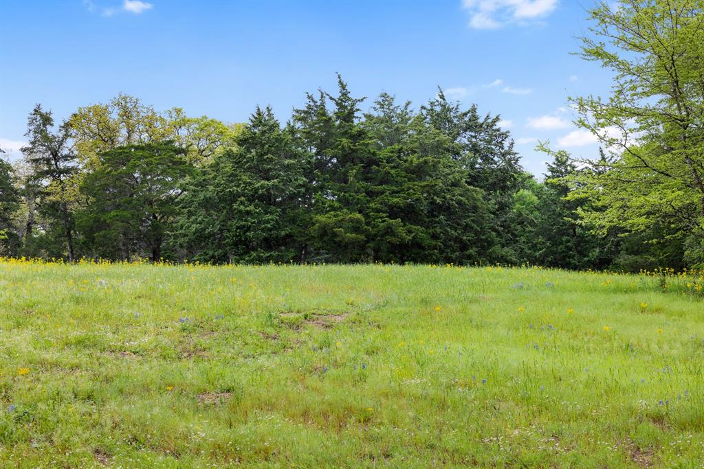 24661 Squirrel Road, New Ulm, Texas image 30