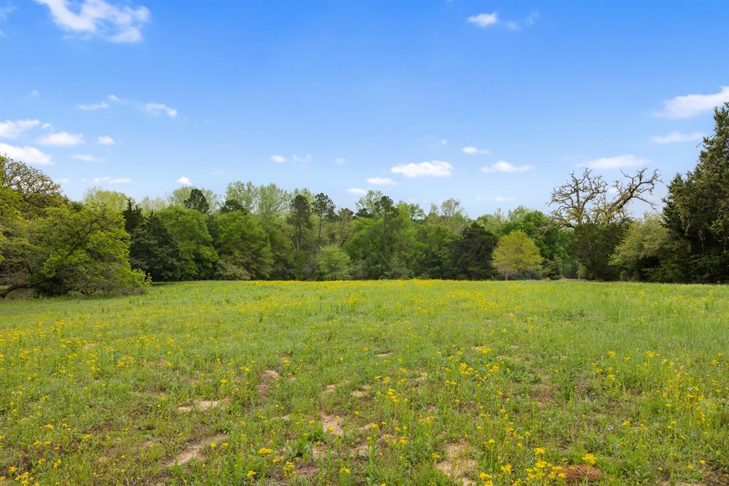24661 Squirrel Road, New Ulm, Texas image 31