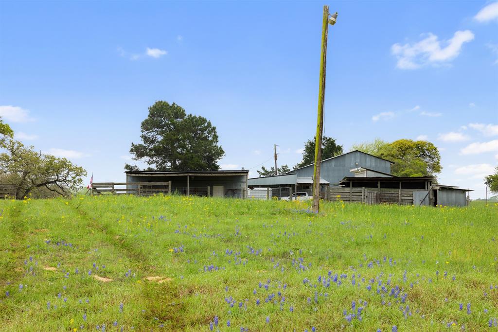 24661 Squirrel Road, New Ulm, Texas image 10