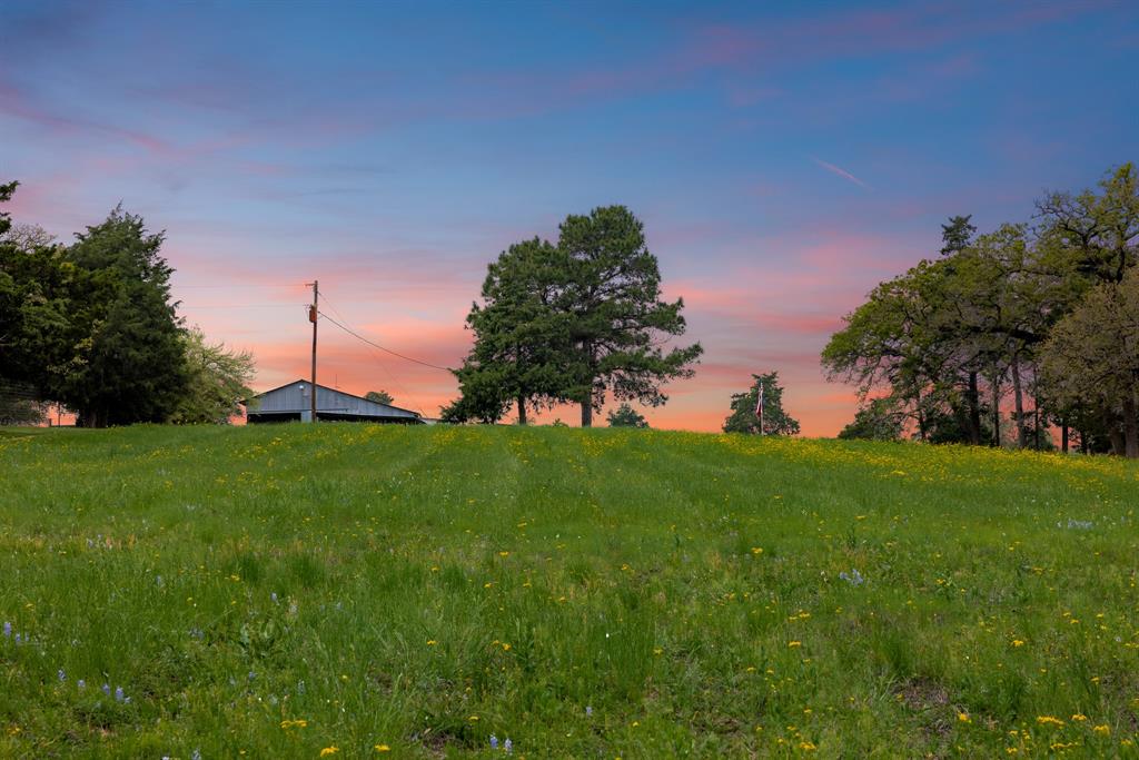 24661 Squirrel Road, New Ulm, Texas image 9
