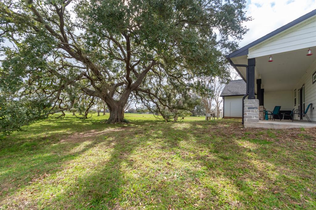 202 Horse Shoe Trail, Angleton, Texas image 29