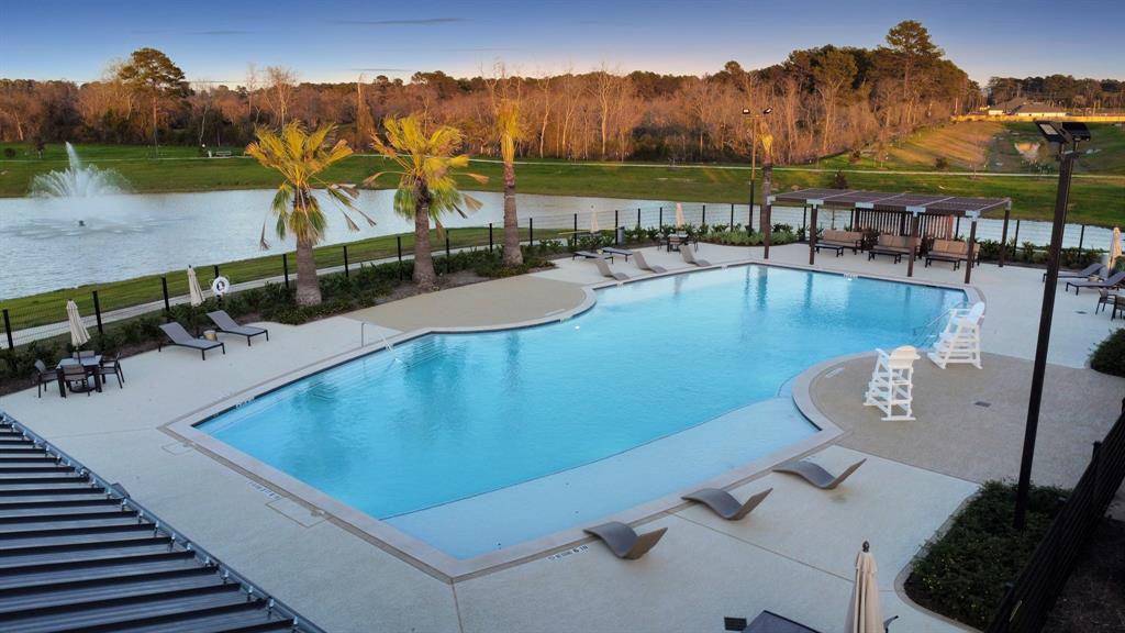 21410 Iberian Magpie Trail, Tomball, Texas image 6