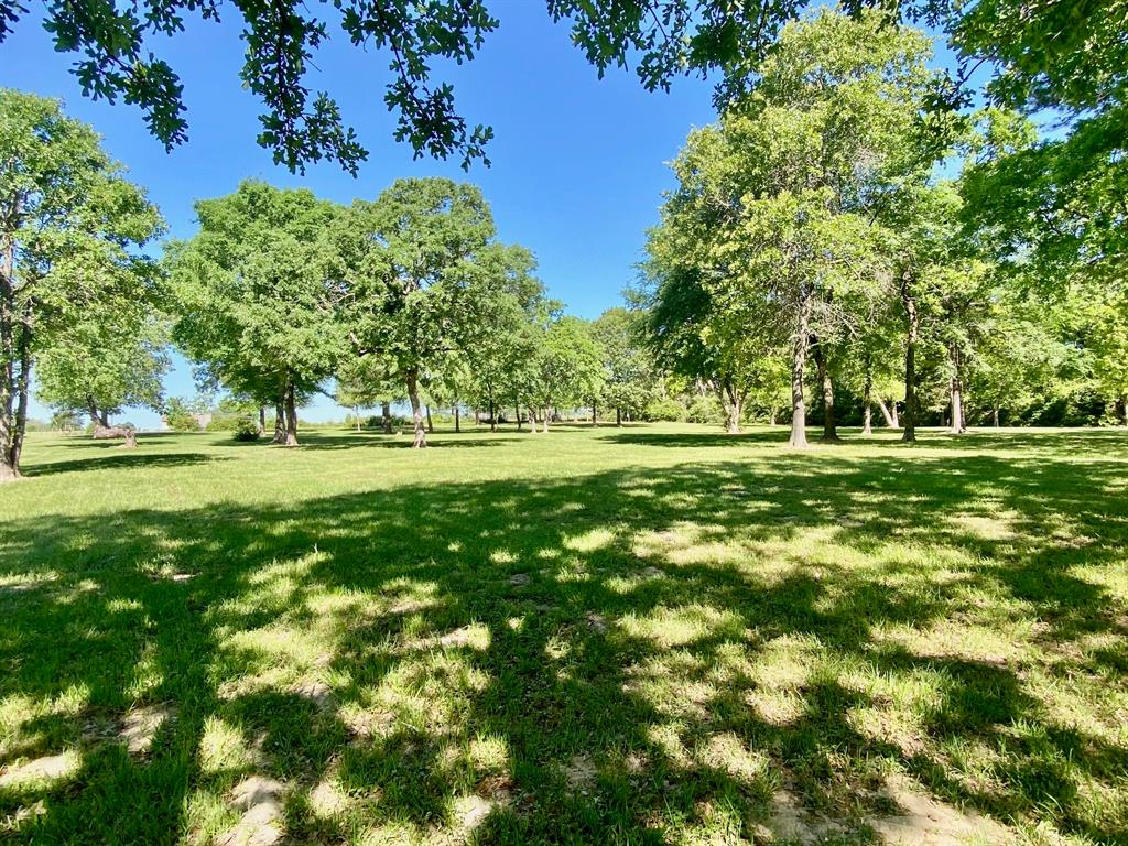 3141 Acr 174, Grapeland, Texas image 6