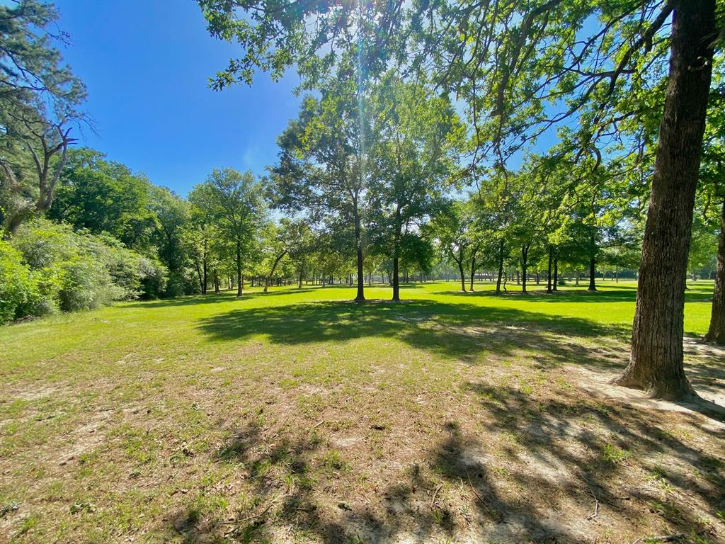 3141 Acr 174, Grapeland, Texas image 4