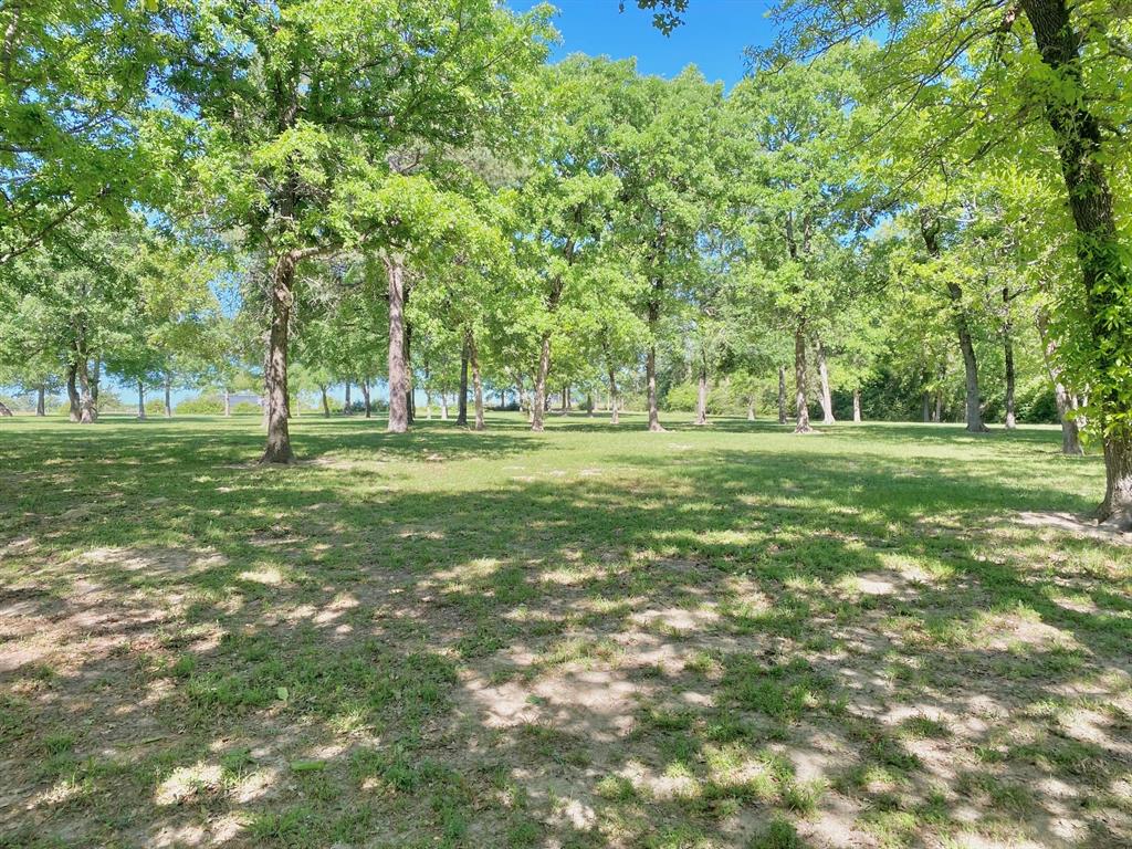 3141 Acr 174, Grapeland, Texas image 5