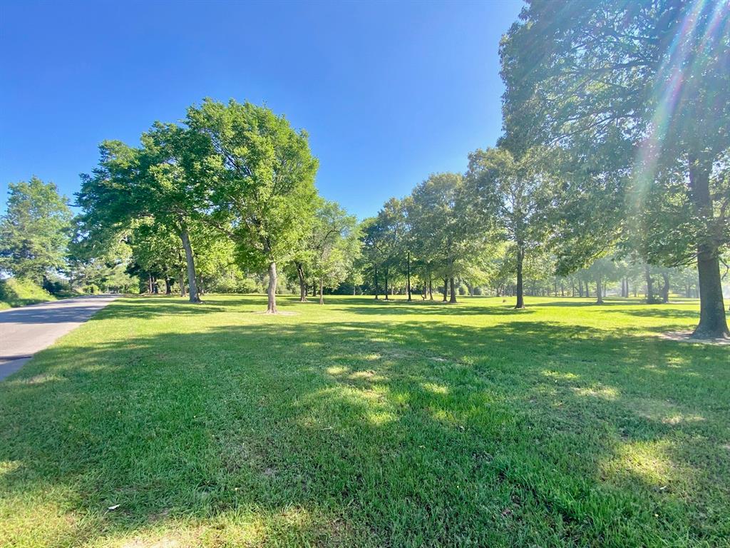 3141 Acr 174, Grapeland, Texas image 3