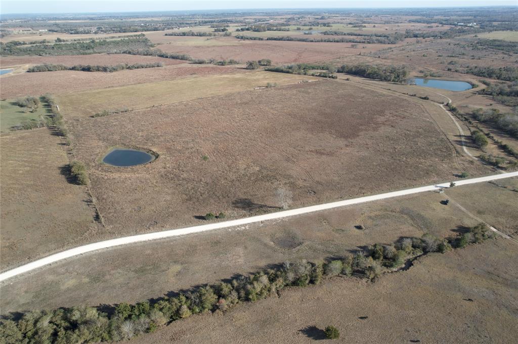 Tr 12A Caney Creek Rd, Chappell Hill, Texas image 3