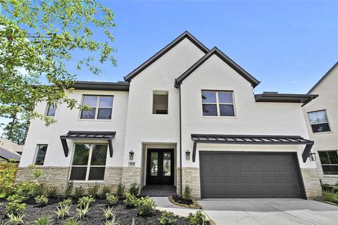 315 Branta Court Willis TX 77318