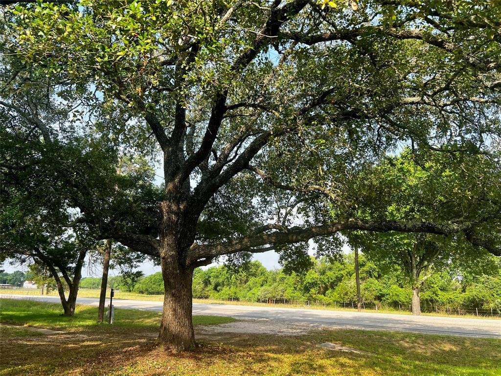 1346 Fm 448, Giddings, Texas image 13