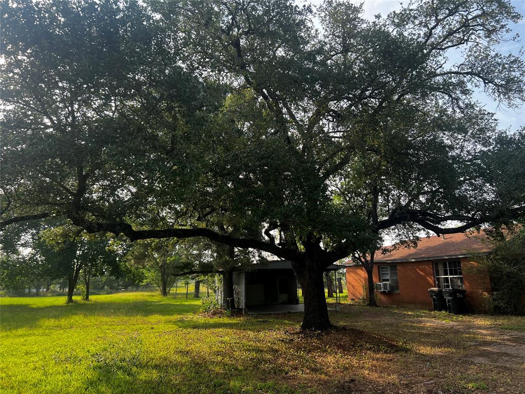 1346 Fm 448, Giddings, Texas image 11