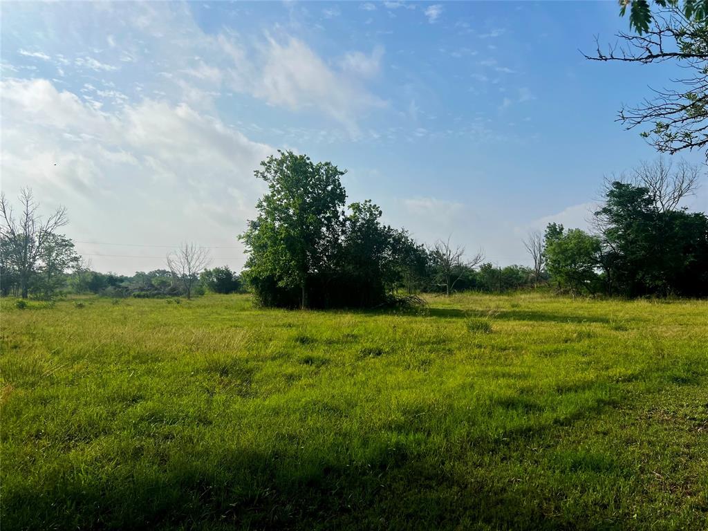 1346 Fm 448, Giddings, Texas image 7