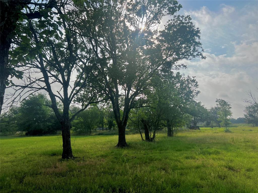 1346 Fm 448, Giddings, Texas image 15
