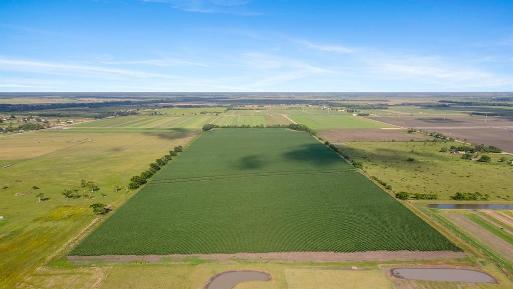 County Road 166 Bucks Bayou Road, Bay City, Texas image 9