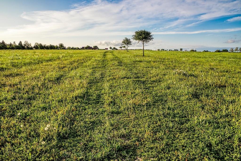 TBD Old Independence Road, Brenham, Texas image 14