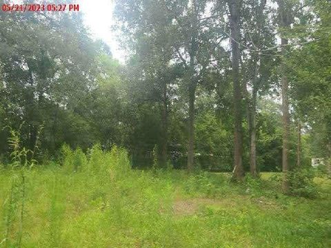 Photo of 868 S Main Street, Jasper, TX 75951 (MLS # 59308517)