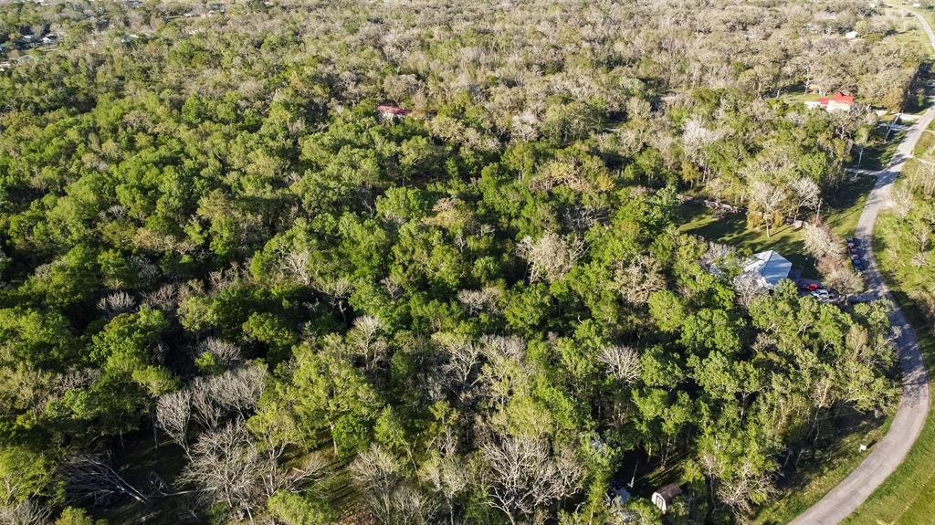 Wickwillow Lane, Alvin, Texas image 5