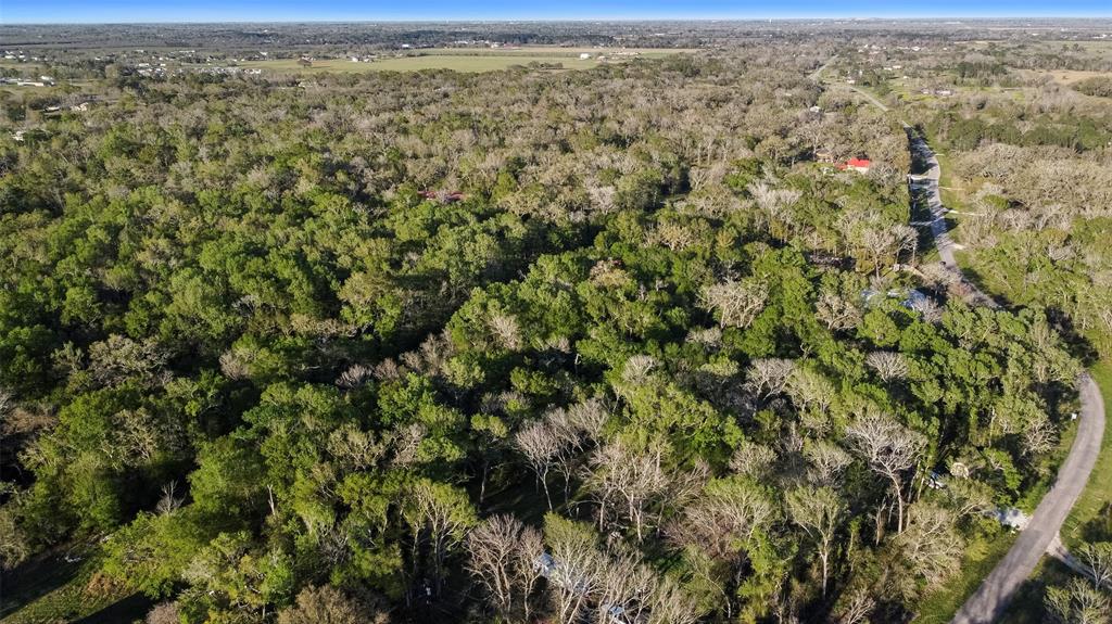 Wickwillow Lane, Alvin, Texas image 9