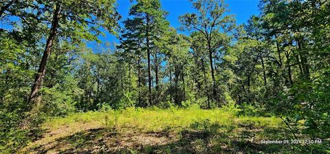 Vacant Land For Sale - TBD Zed Creek Road<br/> Angelina County, Lufkin, TX 75904