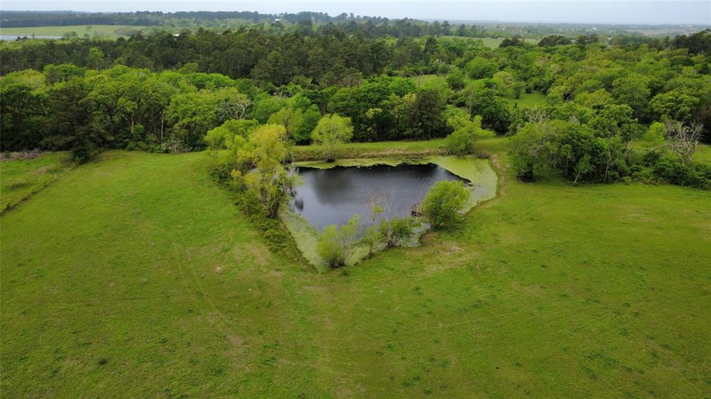 4956 County Road 448, Navasota, Texas image 6