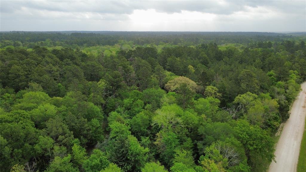 4956 County Road 448, Navasota, Texas image 10