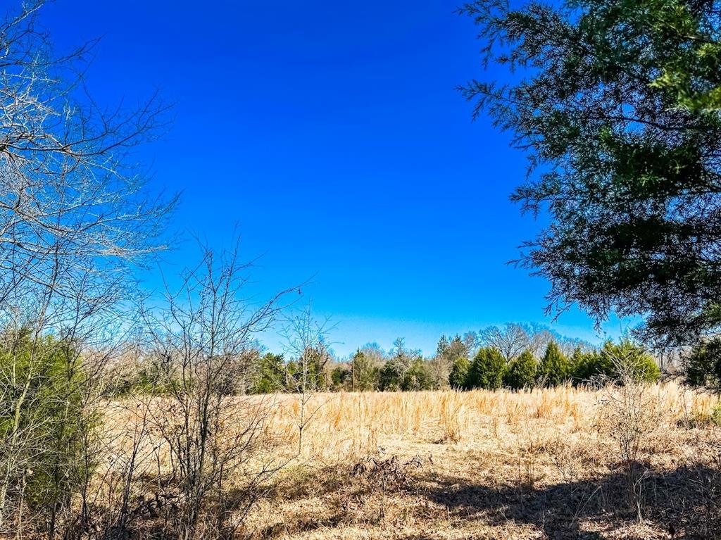 0000 Fcr 511, Fairfield, Texas image 9