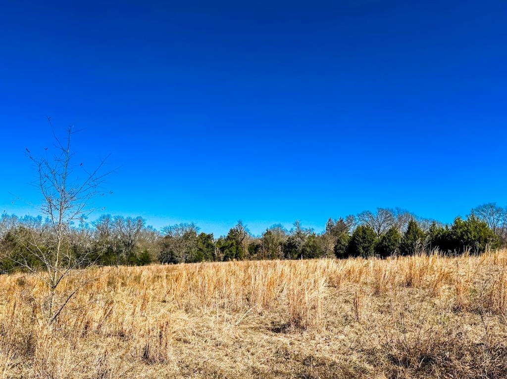 0000 Fcr 511, Fairfield, Texas image 11