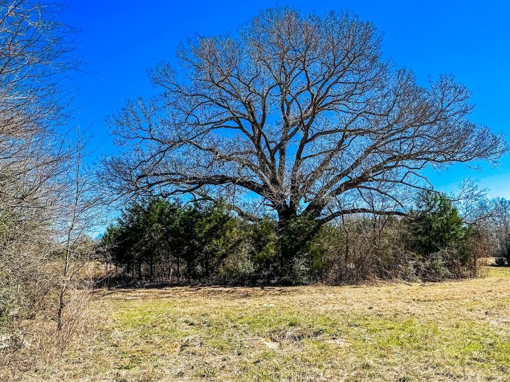 0000 Fcr 511, Fairfield, Texas image 5
