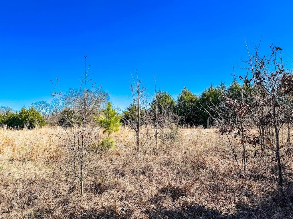0000 Fcr 511, Fairfield, Texas image 12