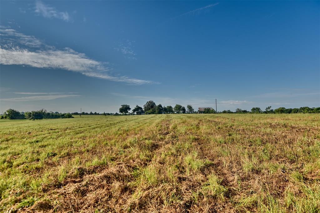 Lot 35 Orion Drive, Brenham, Texas image 6