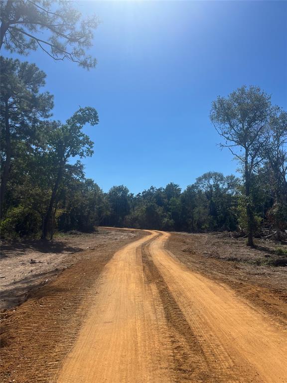 Nelson Road, Hempstead, Texas image 3