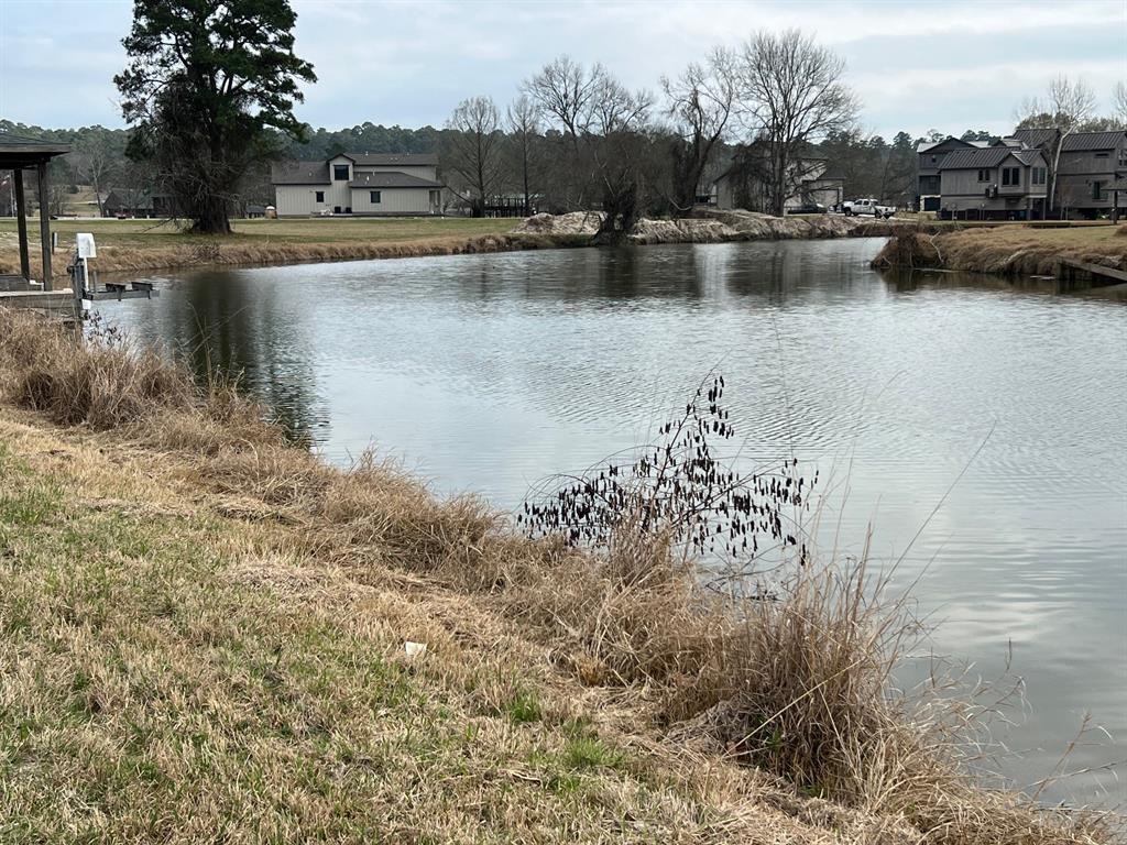 50 Wildwood Lake Drive, Huntsville, Texas image 4