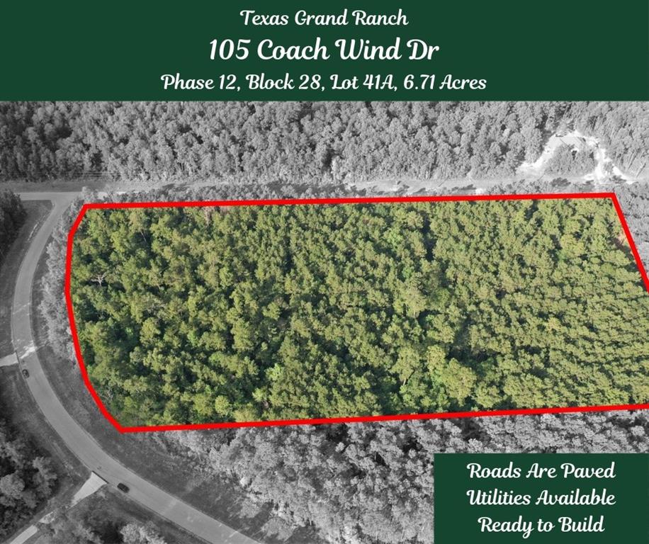 105 Coach Wind Drive, Huntsville, Texas image 2