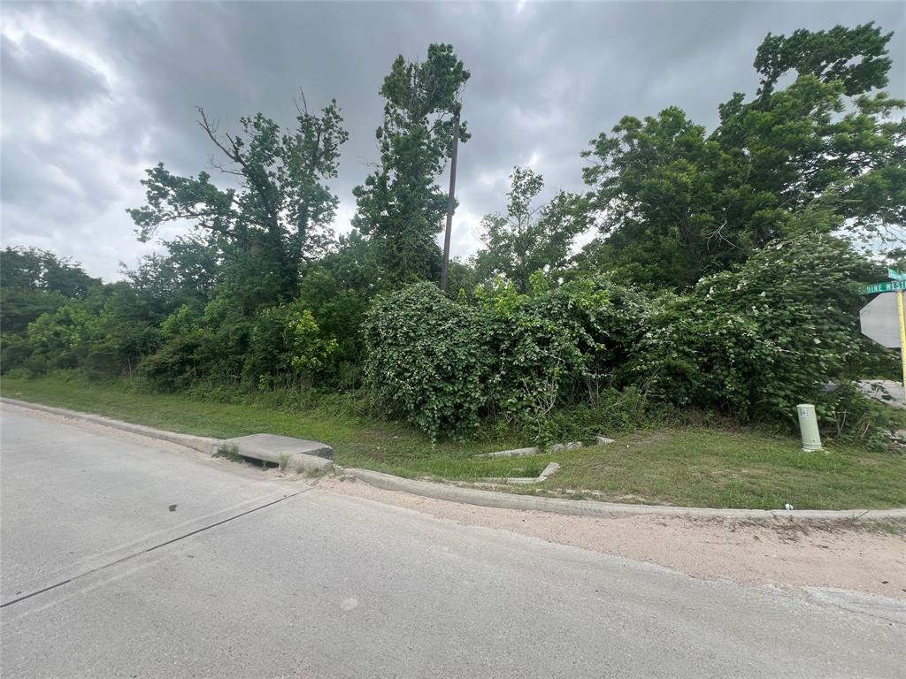 120 Caroline Street, Spring, Texas image 3
