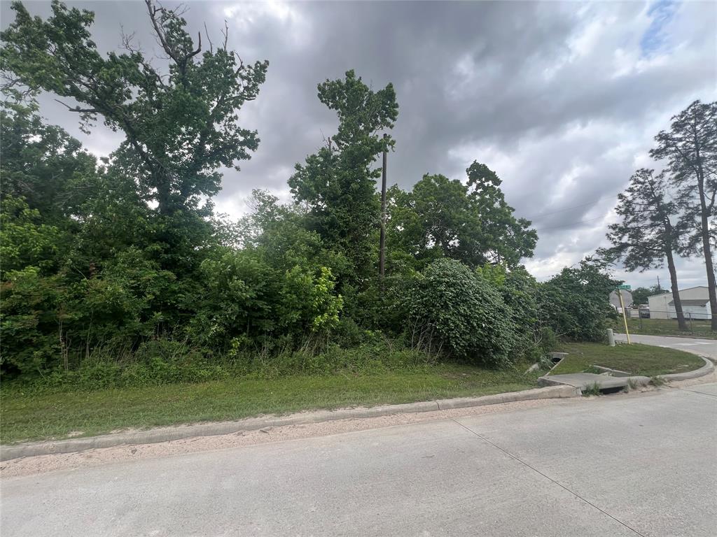 120 Caroline Street, Spring, Texas image 2