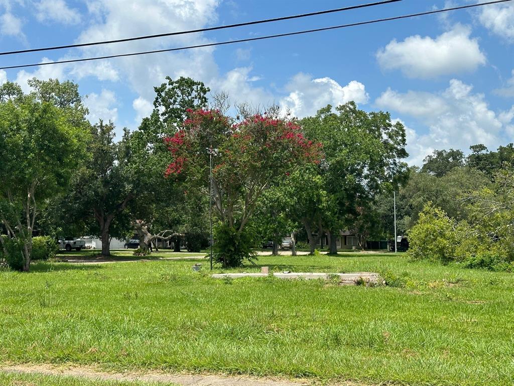 00 Sycamore Street, Lake Jackson, Texas image 4