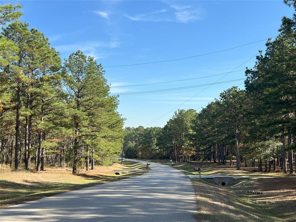 1142 Fletcher, Anderson, Texas image 47