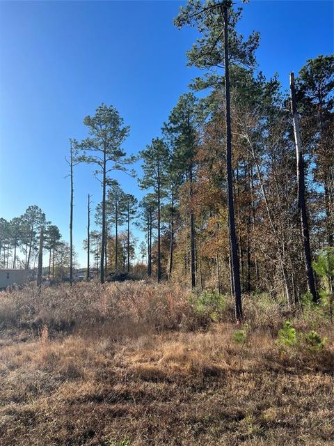 Photo of 366 County Road 5021, Cleveland, TX 77327 (MLS # 61641671)