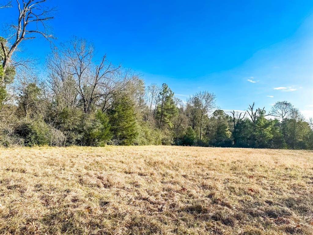 1085 Duke Road, Apple Springs, Texas image 3