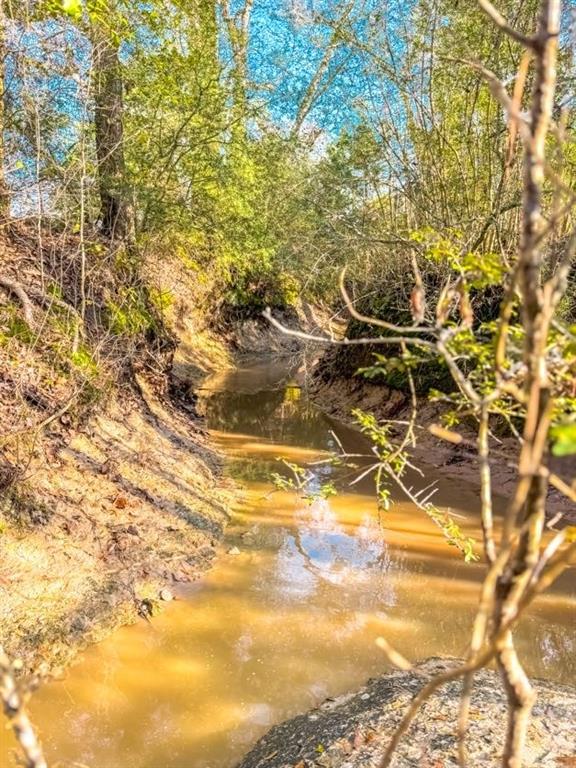 1085 Duke Road, Apple Springs, Texas image 12